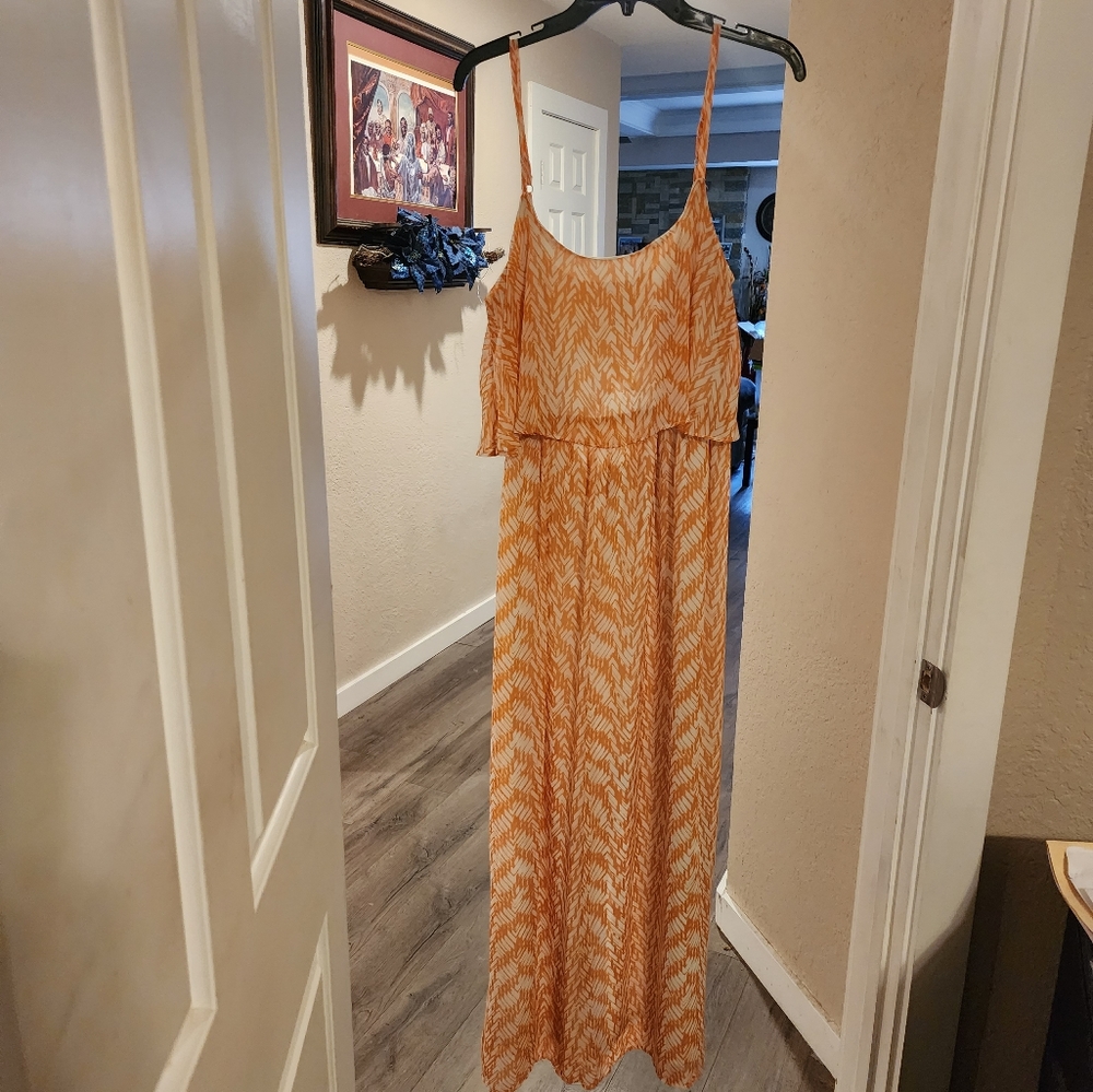 Sheer top dress